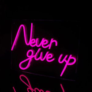 Never Give Up Inspiration USB LED Neon Sign