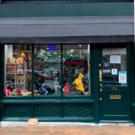 LED Reptiles Neon Sign, 20″x10″