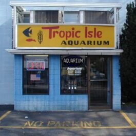 LED Aquarium Neon Sign, 20″x10″