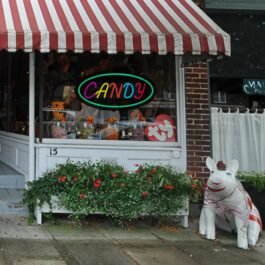 LED Candy Neon Sign, 16″x8″