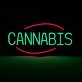 LED Cannabis Neon Sign, 20″x10″