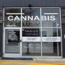 LED Medical Cannabis Neon Sign, 24″x12″