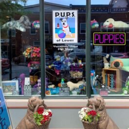 LED Puppies Neon Sign, 20″x8.3″